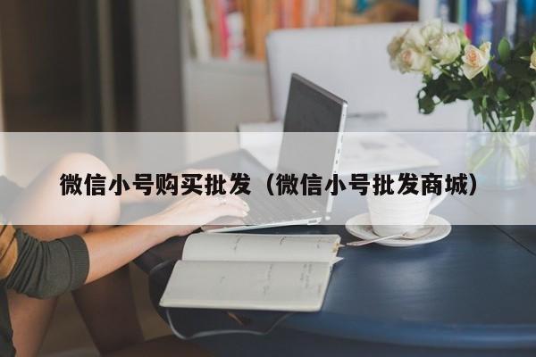 微信小号购买批发（微信小号批发商城）