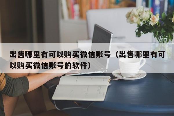 出售哪里有可以购买微信账号（出售哪里有可以购买微信账号的软件）