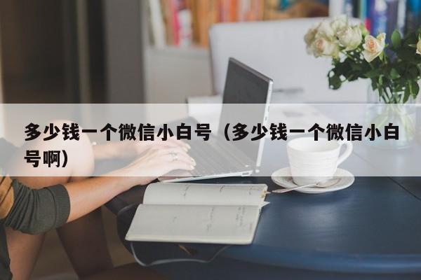 多少钱一个微信小白号（多少钱一个微信小白号啊）