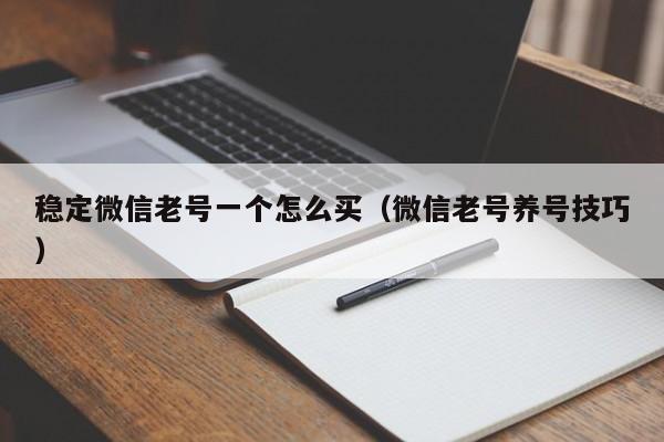 稳定微信老号一个怎么买（微信老号养号技巧）