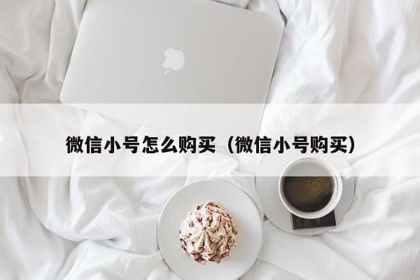 微信小号怎么购买（微信小号购买）