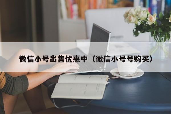 微信小号出售优惠中（微信小号号购买）