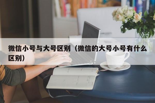 微信小号与大号区别（微信的大号小号有什么区别）