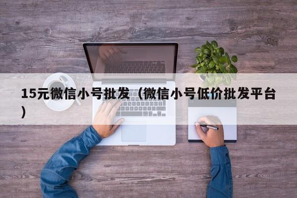 15元微信小号批发（微信小号低价批发平台）