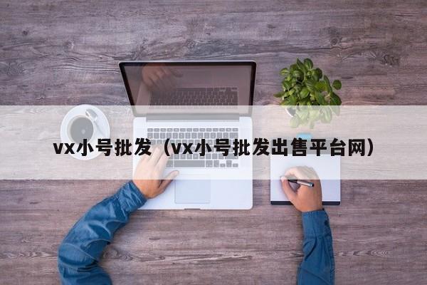 vx小号批发（vx小号批发出售平台网）