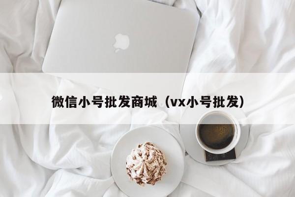 微信小号批发商城（vx小号批发）