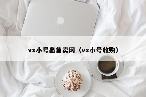 vx小号出售卖网（vx小号收购）