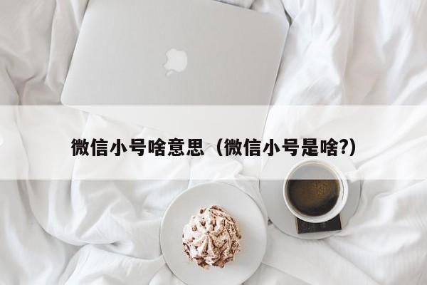 微信小号啥意思（微信小号是啥?）