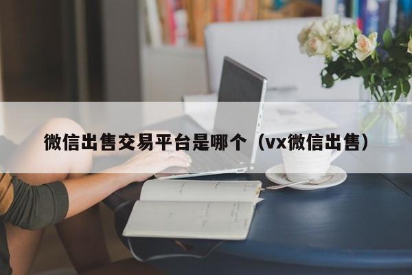 微信出售交易平台是哪个（vx微信出售）