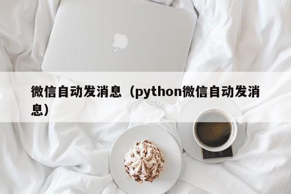 微信自动发消息（python微信自动发消息）