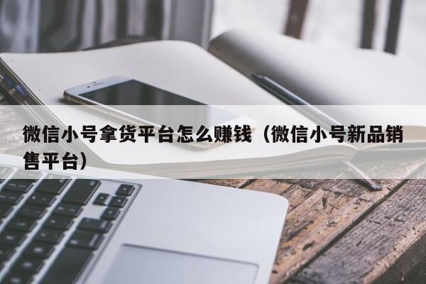 微信小号拿货平台怎么赚钱（微信小号新品销售平台）