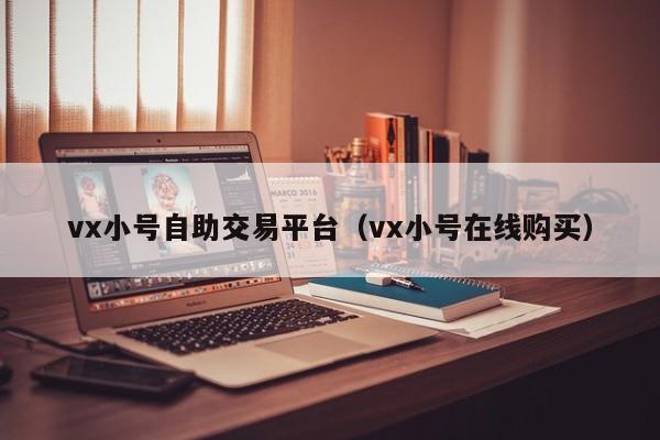 vx小号自助交易平台（vx小号在线购买）