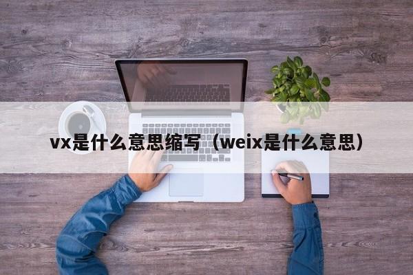 vx是什么意思缩写（weix是什么意思）