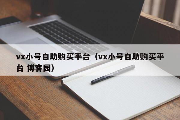 vx小号自助购买平台（vx小号自助购买平台 博客园）