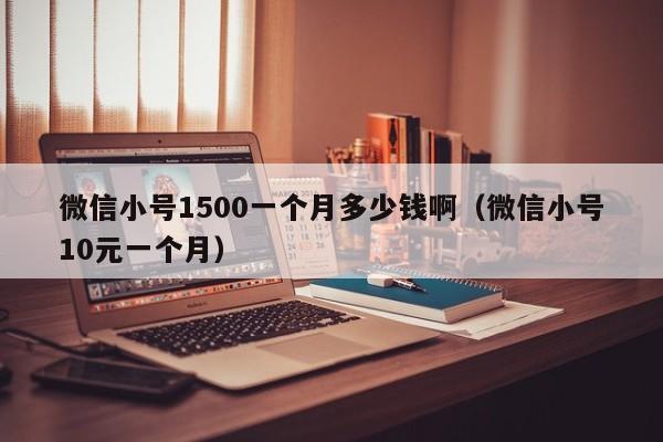 微信小号1500一个月多少钱啊（微信小号10元一个月）