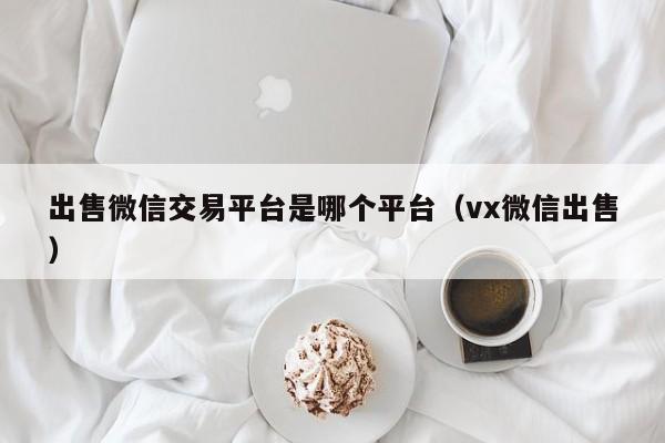 出售微信交易平台是哪个平台（vx微信出售）