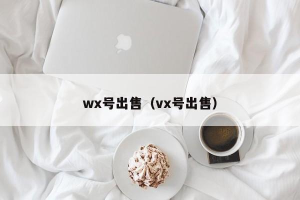 wx号出售（vx号出售）