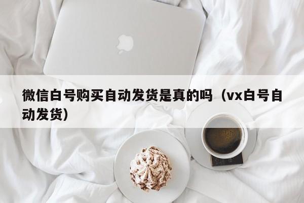 微信白号购买自动发货是真的吗（vx白号自动发货）