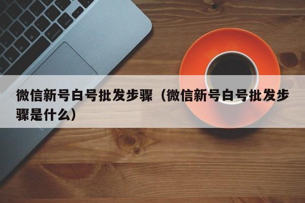 微信新号白号批发步骤（微信新号白号批发步骤是什么）