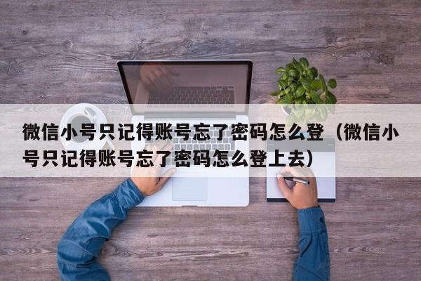 微信小号只记得账号忘了密码怎么登（微信小号只记得账号忘了密码怎么登上去）