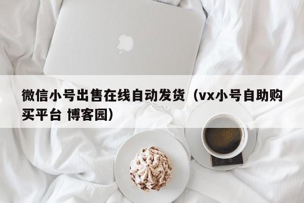 微信小号出售在线自动发货（vx小号自助购买平台 博客园）