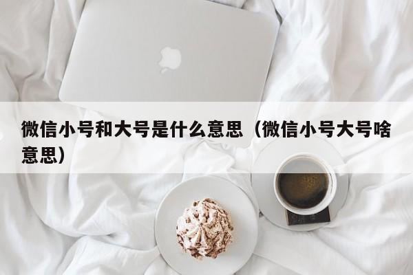 微信小号和大号是什么意思（微信小号大号啥意思）