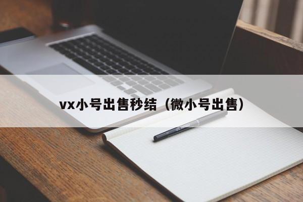 vx小号出售秒结（微小号出售）