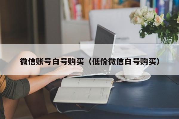 微信账号白号购买（低价微信白号购买）