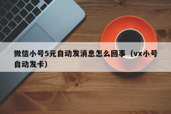 微信小号5元自动发消息怎么回事（vx小号自动发卡）