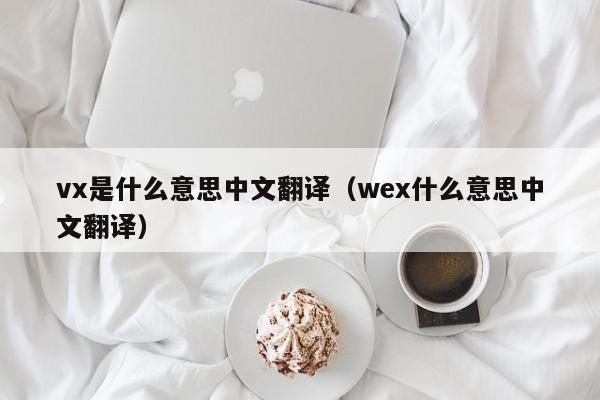 vx是什么意思中文翻译（wex什么意思中文翻译）