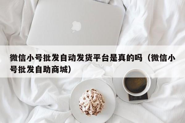 微信小号批发自动发货平台是真的吗（微信小号批发自助商城）