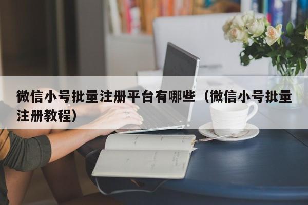 微信小号批量注册平台有哪些（微信小号批量注册教程）