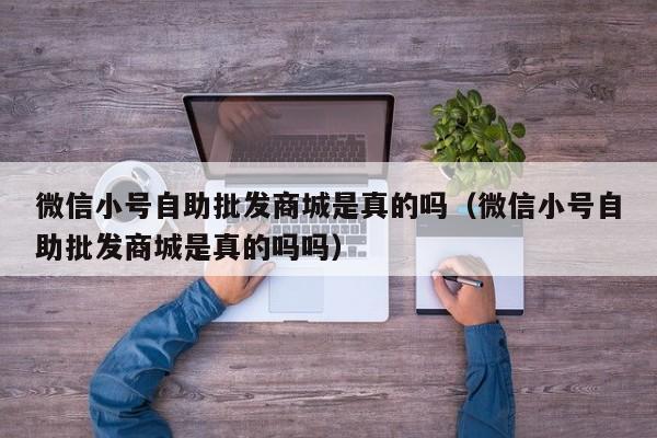 微信小号自助批发商城是真的吗（微信小号自助批发商城是真的吗吗）