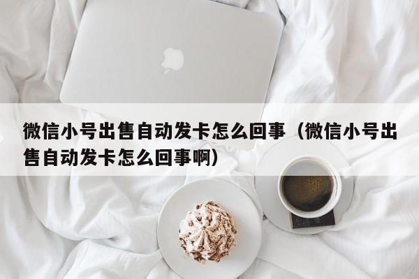 微信小号出售自动发卡怎么回事（微信小号出售自动发卡怎么回事啊）