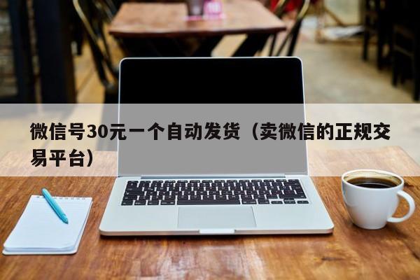 微信号30元一个自动发货（卖微信的正规交易平台）